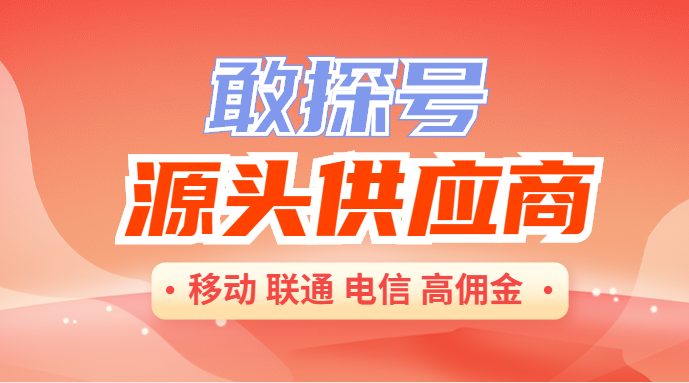 敢探号流量卡源头供应商代码（高佣版）